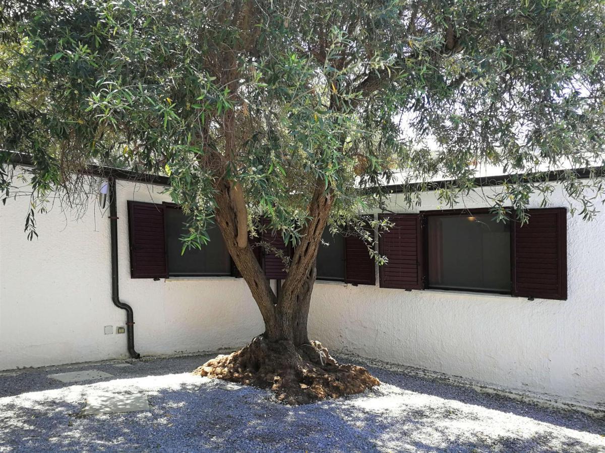 Villa La Plaja Cefalù Dış mekan fotoğraf